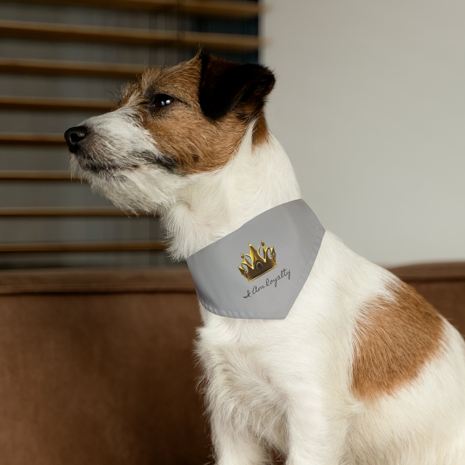 Royal Crown Pet Bandana Collar - I Am Royalty (Light Gray) - DarzyStore