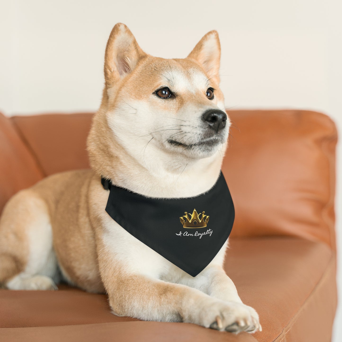 Royal Crown Pet Bandana Collar - I Am Royalty (Black) - DarzyStore