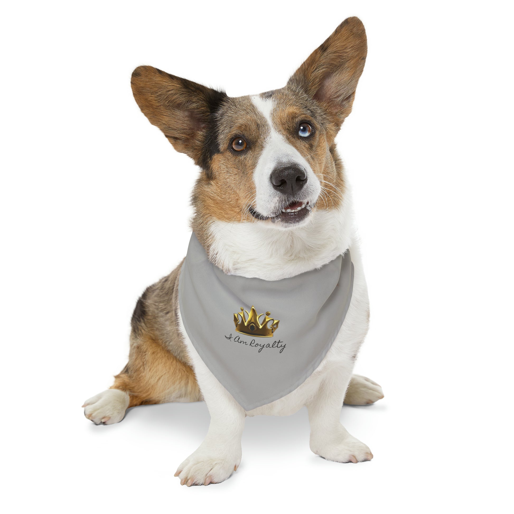 Royal Crown Pet Bandana Collar - I Am Royalty (Light Gray) - DarzyStore