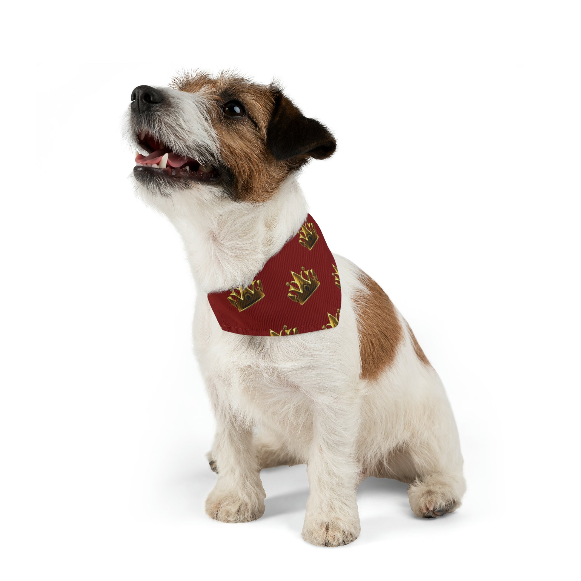 Royal Crown Pet Bandana Collar - Dark Red - DarzyStore