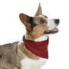 Royal Crown Pet Bandana Collar - I Am Royalty (Dark Red) - DarzyStore