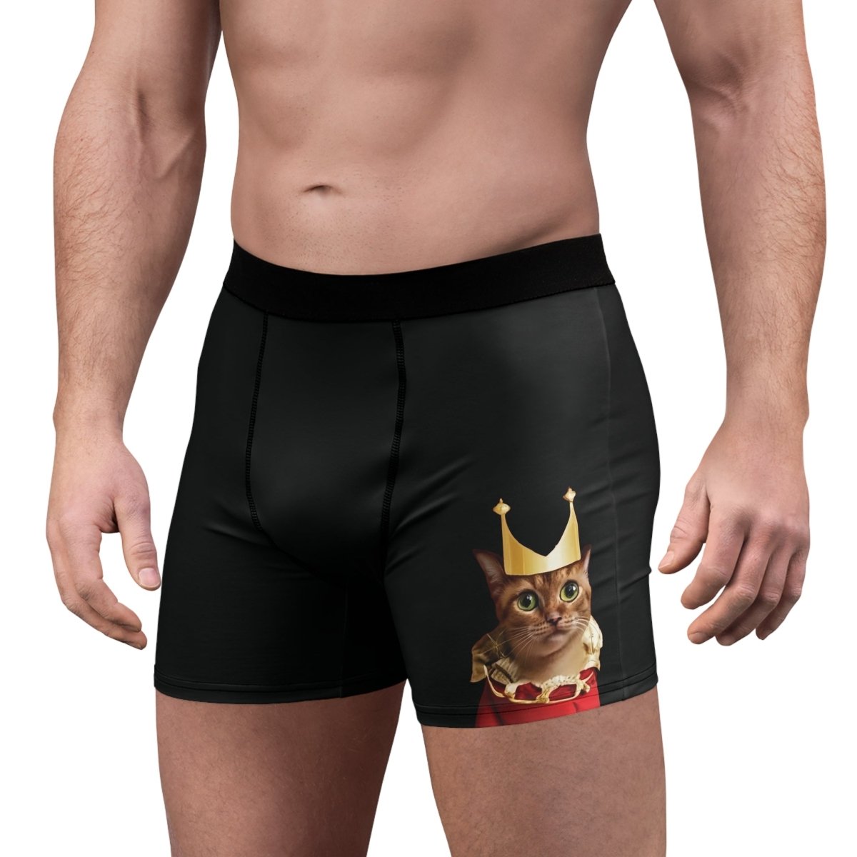 Royal Cat Men's Boxer Briefs - Style A - DarzyStore