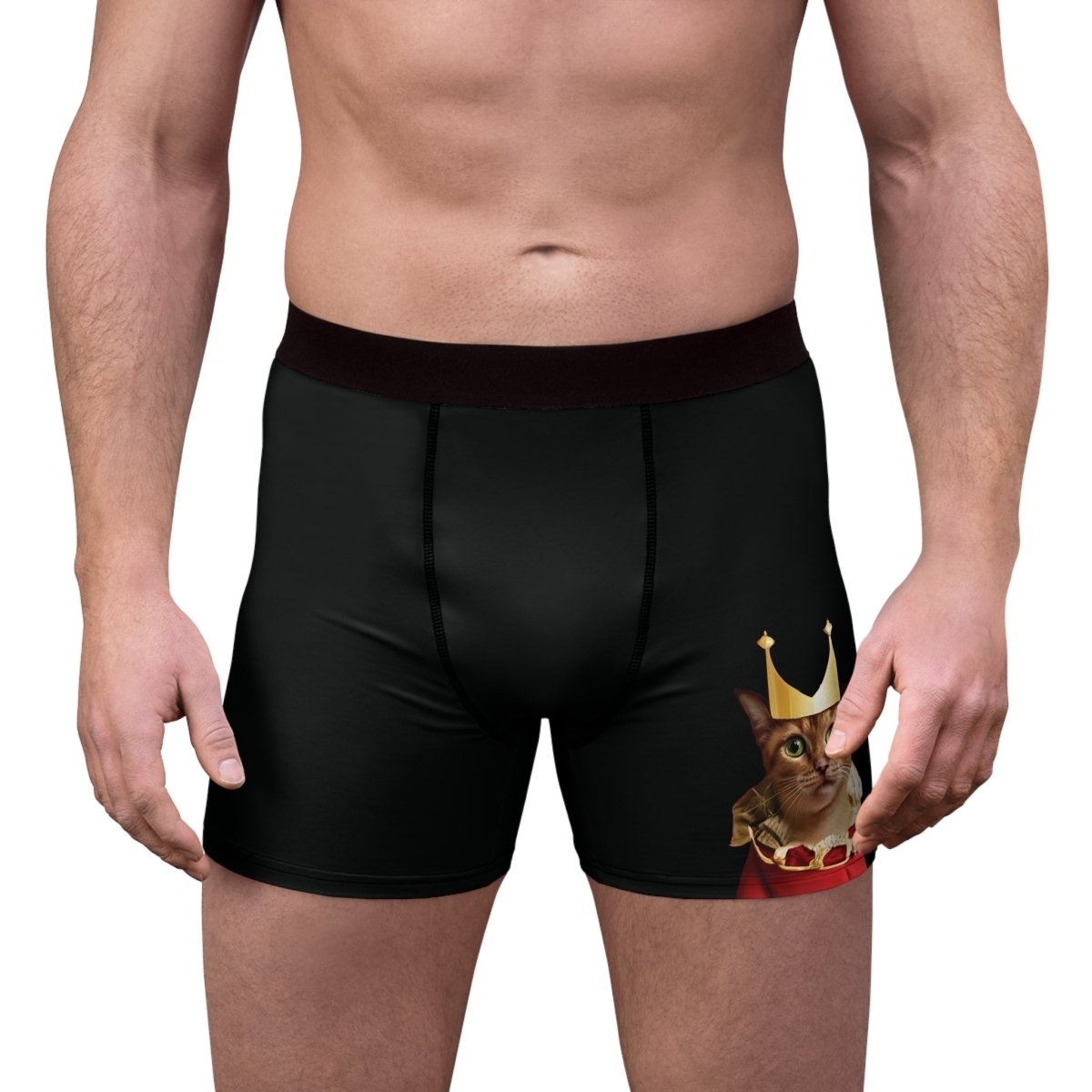 Royal Cat Men's Boxer Briefs - Style A - DarzyStore