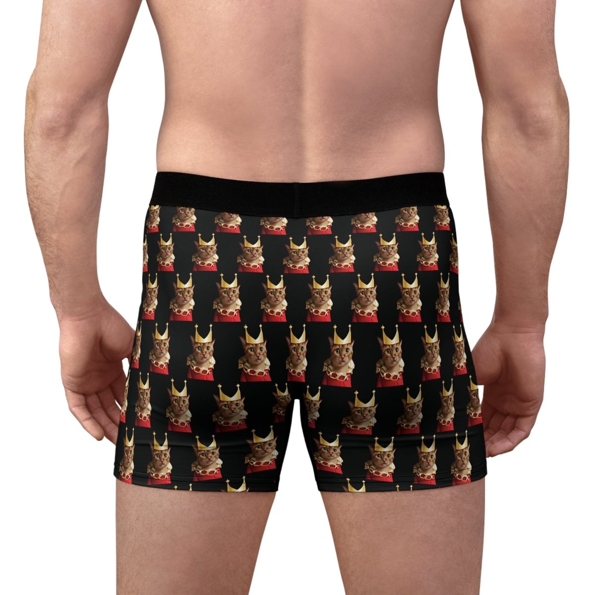 Royal Cat Men's Boxer Briefs - Style A Grid Design - DarzyStore