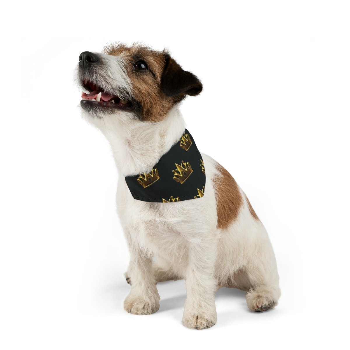 Royal Crown Pet Bandana Collar - Black - DarzyStore