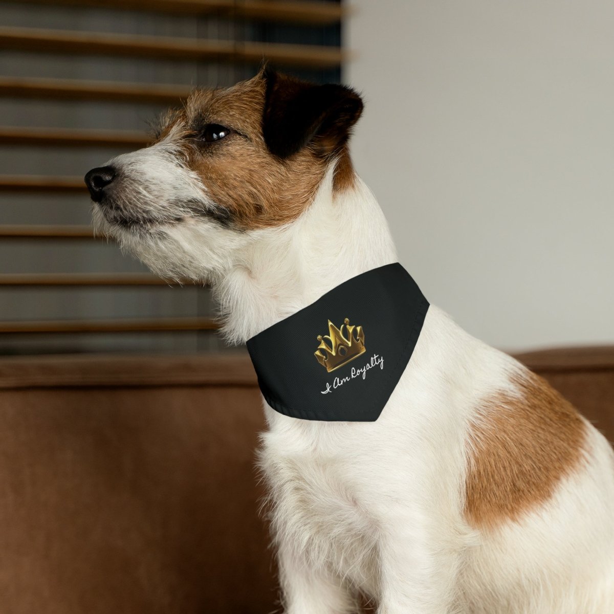 Royal Crown Pet Bandana Collar - I Am Royalty (Black) - DarzyStore