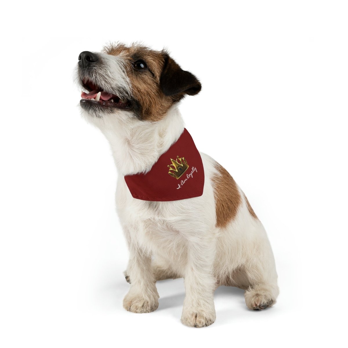 Royal Crown Pet Bandana Collar - I Am Royalty (Dark Red) - DarzyStore