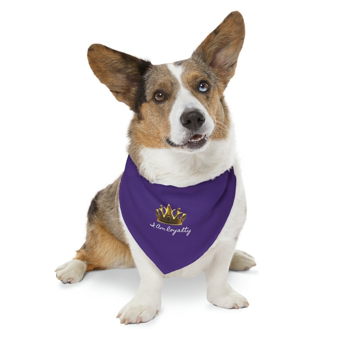 Royal Crown Pet Bandana Collar - I Am Royalty (Purple) - DarzyStore