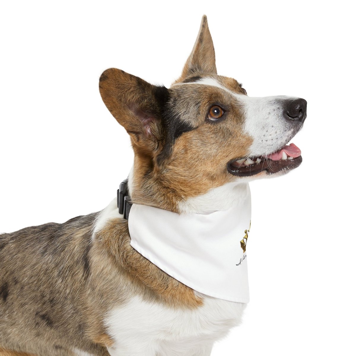 Royal Crown Pet Bandana Collar - I Am Royalty (White) - DarzyStore