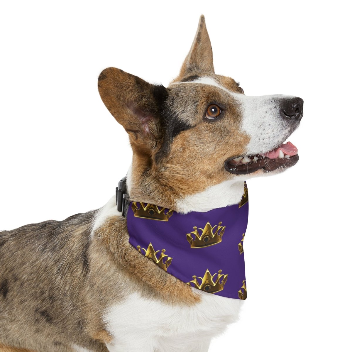 Royal Crown Pet Bandana Collar - Purple - DarzyStore