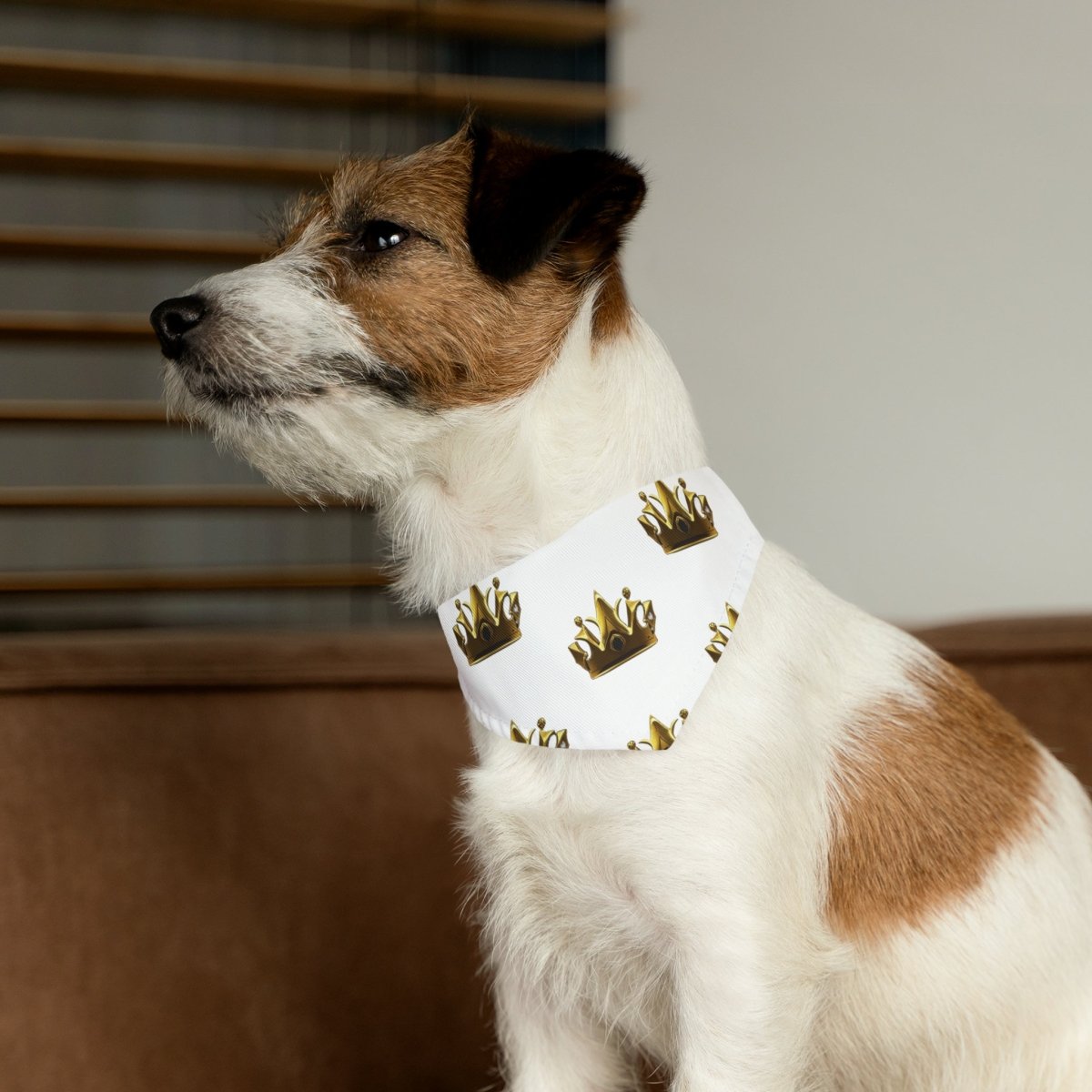 Royal Crown Pet Bandana Collar - White - DarzyStore
