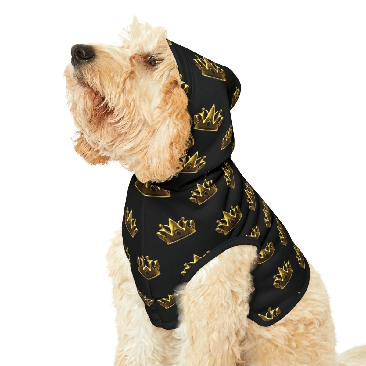 Royal Crown Pet Hoodie - Black - DarzyStore