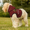 Royal Crown Pet Hoodie - I Am Royalty (Dark Red) - DarzyStore