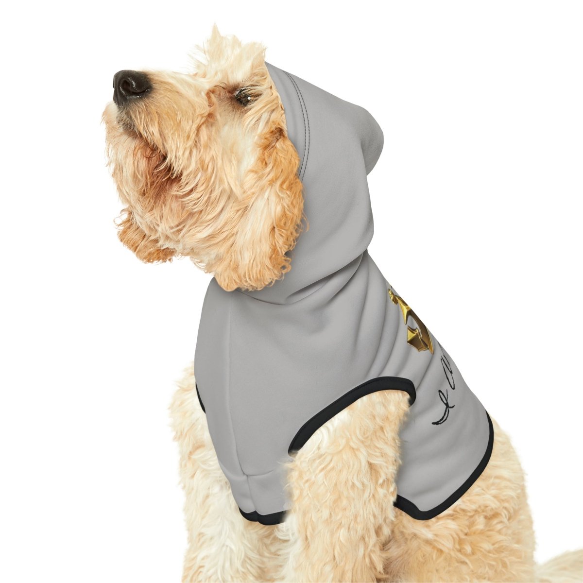 Royal Crown Pet Hoodie - I Am Royalty (Light Gray) - DarzyStore