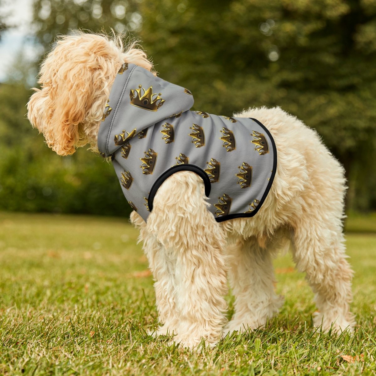 Royal Crown Pet Hoodie - Light Gray - DarzyStore