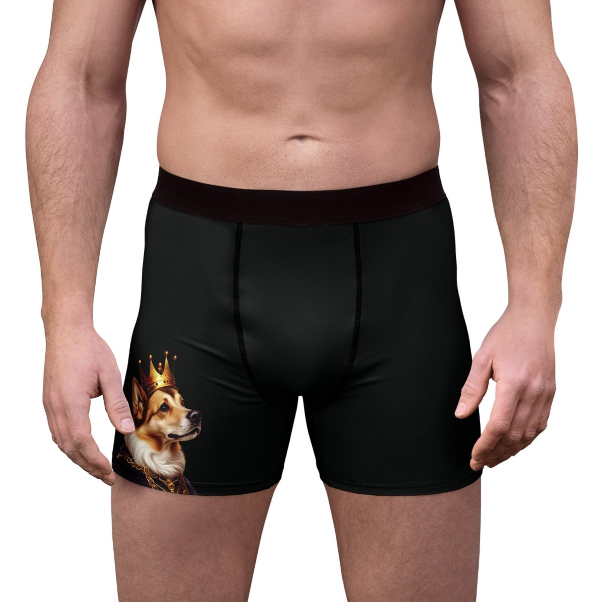 Royal Dog Men's Boxer Briefs - Style C - DarzyStore