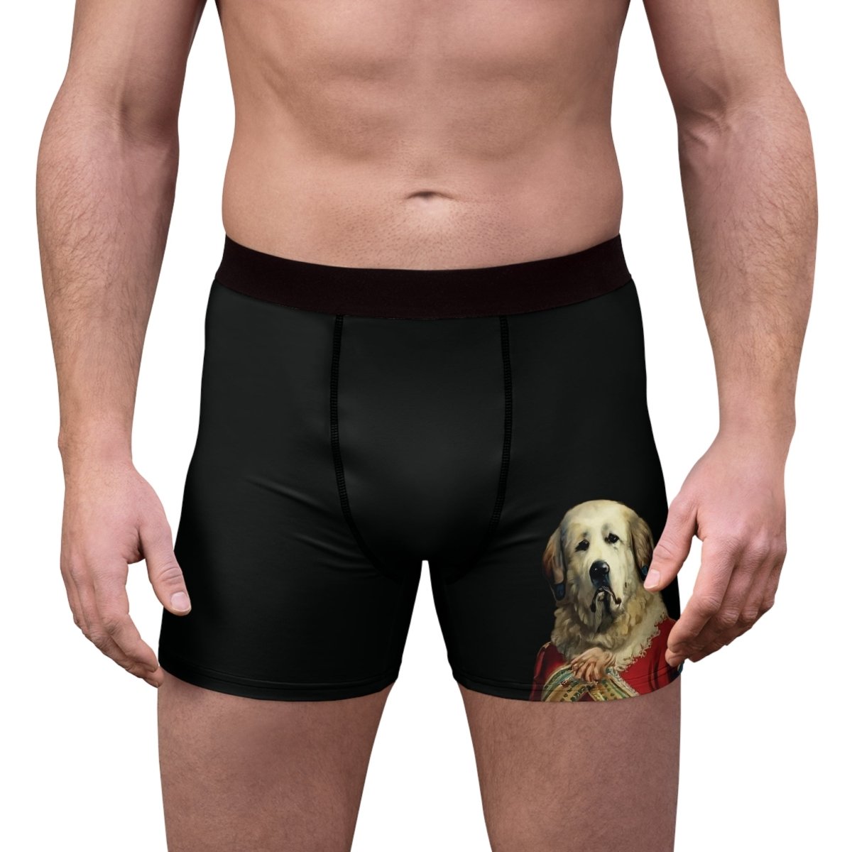 Royal Dog Men's Boxer Briefs - Style D - DarzyStore